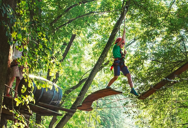 mit Seil geschützte Kinder beim Baumklettern in luftiger Höhe